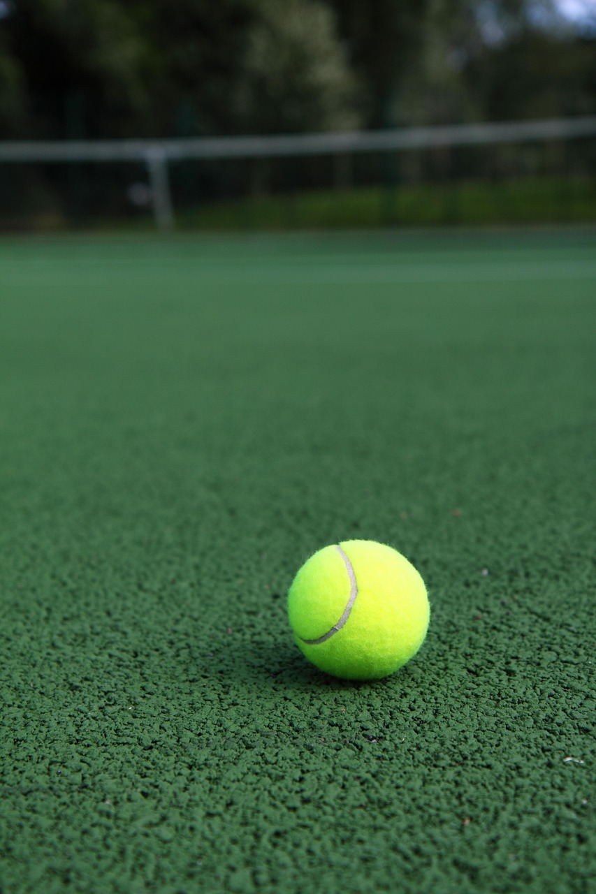 active, activity, athletics, ball, court, exercise, fitness, game, green, leisure, play, recreation, sport, sports, tennis, yellow, green fitness, green exercise, green gaming, green workout, green sports, green game, green games, tennis, tennis, tennis, tennis, tennis