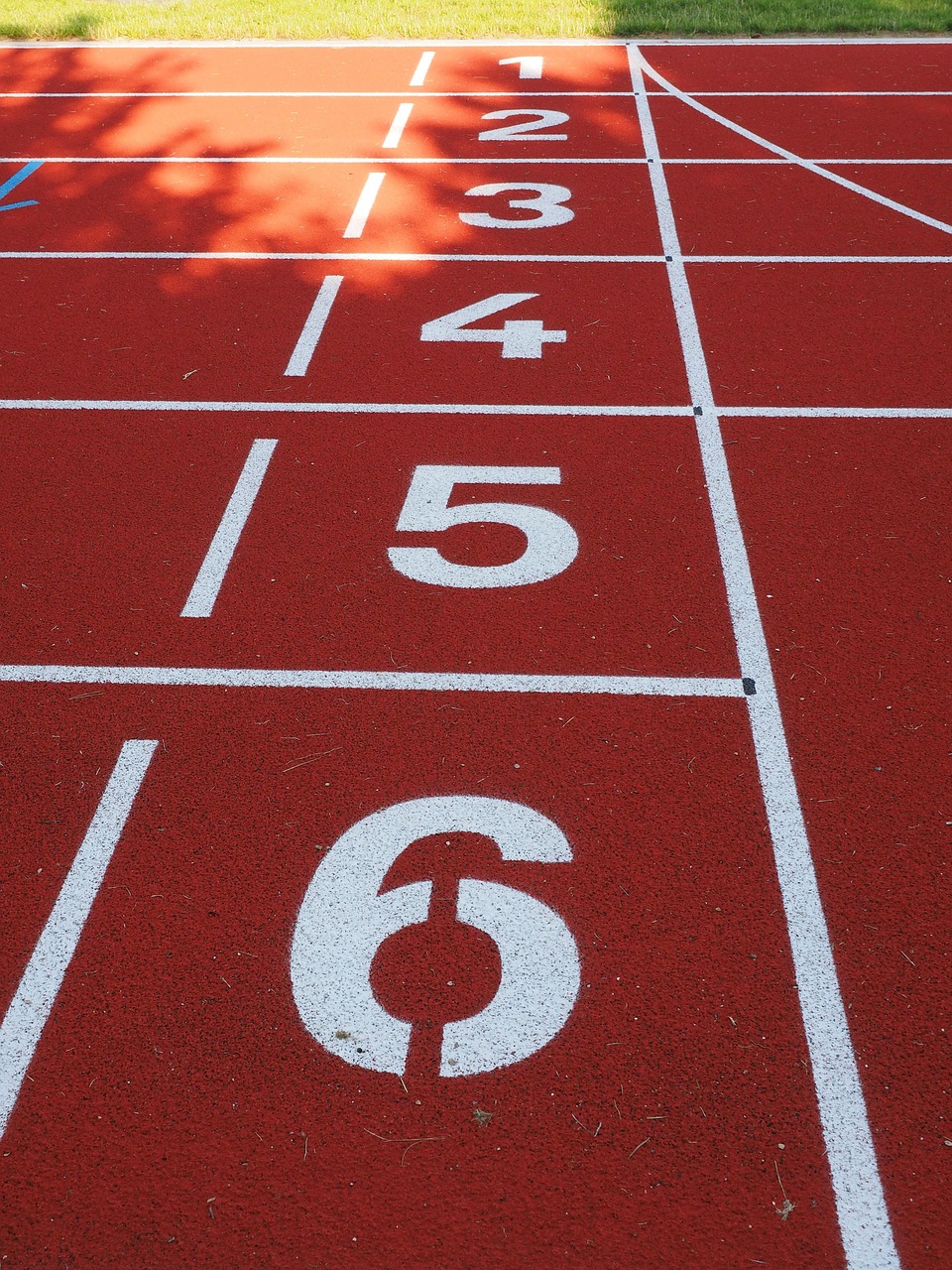 start number, career, starting block, numbers, tartan track, runway, athletics, running, run, sports, sports track, begin, fitness, sports ground, competition, mark, track, racecourse, stadium, tartan, stadium round, round, white, red, leisure time, pay, six, five, four, one, two, three, lines, rubber covering, floor, sports facility, character, coloured, training, symbol, starting block, numbers, runway, runway, six, six, six, six, six, five, five